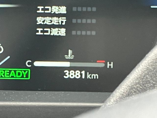 ���s�F�R�C�W�W�P�j�l