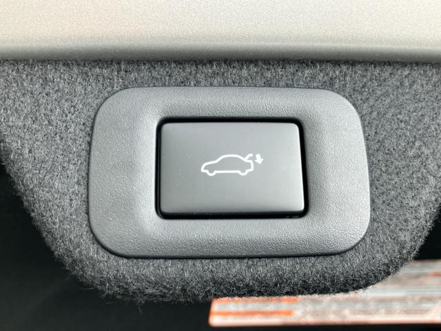 �O���E�����Ƃ��N���[�j���O�ς݂ł��ꂢ�ȏ�Ԃł��I