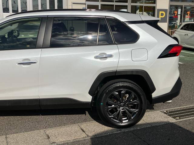 �j�l�f�v���`�i�ۏ؂P�N�ԁE���s����������