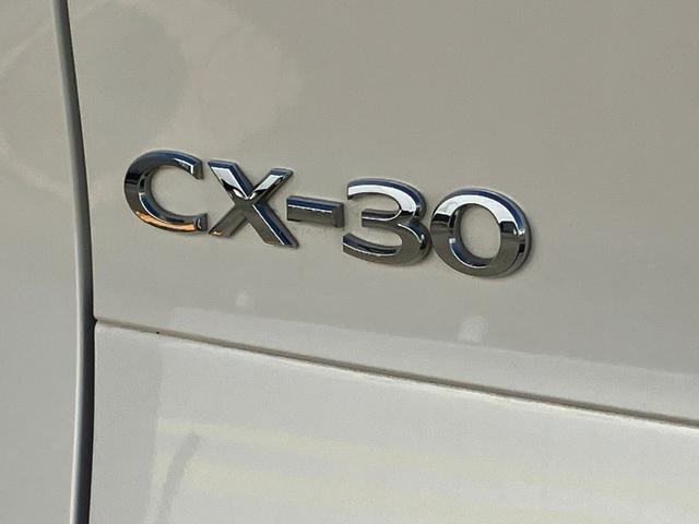 ＣＸ－３０ ＸＤ　プロアクティブ　ツーリングセレクション　ターボ車　パワステ　スマートキー＆プッシュスタート　ＤＶＤ　パワーシート　バックカメラ　シートヒーター　ＡＢＳ　アルミホイール　オートエアコン　アイドリングＳＴＯＰ　盗難防止　エアバッグ　レーダーＣ（19枚目）