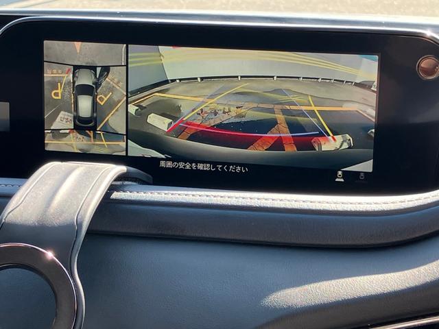 ＣＸ－３０ ＸＤ　プロアクティブ　ツーリングセレクション　ターボ車　パワステ　スマートキー＆プッシュスタート　ＤＶＤ　パワーシート　バックカメラ　シートヒーター　ＡＢＳ　アルミホイール　オートエアコン　アイドリングＳＴＯＰ　盗難防止　エアバッグ　レーダーＣ（64枚目）