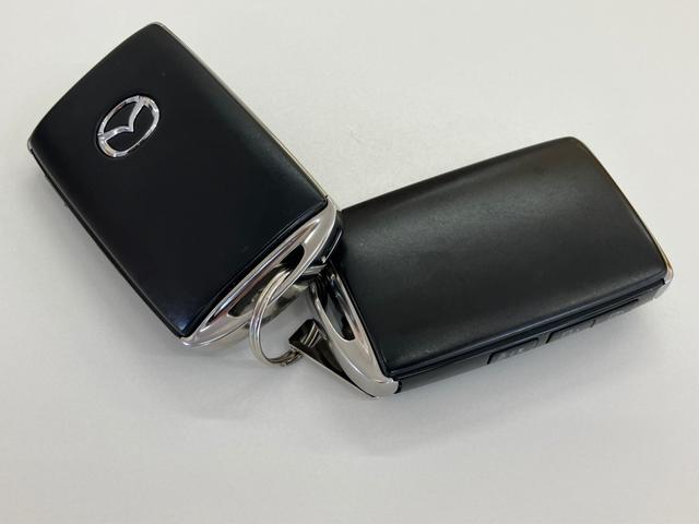 ＣＸ－３０ ＸＤ　プロアクティブ　ツーリングセレクション　ターボ車　パワステ　スマートキー＆プッシュスタート　ＤＶＤ　パワーシート　バックカメラ　シートヒーター　ＡＢＳ　アルミホイール　オートエアコン　アイドリングＳＴＯＰ　盗難防止　エアバッグ　レーダーＣ（70枚目）