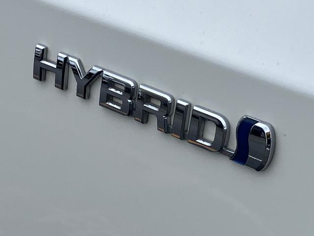 �y�s�J�s�J�̃}�[�N�z���Ԃ̑厖�ȃ|�C���g���C�s�J�s�J�Ɂ����߂Ă��ꏏ�ɑ����Ă��������{���ł��ˁI