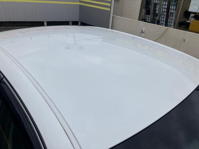 �y���ꂢ�ȃ��[�t�z�ӂƂ������Ɍ����郋�[�t���C���������Ă������ł���ˁ����В��ڂ��m���߂��������I