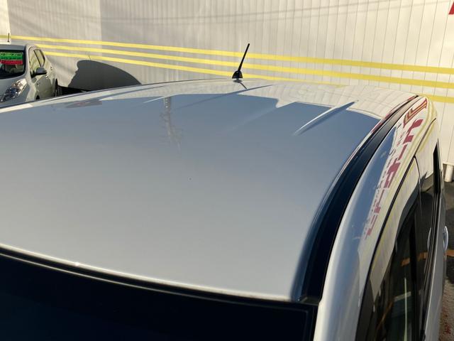 �y���ꂢ�ȃ��[�t�z�ӂƂ������Ɍ����郋�[�t���C���������Ă������ł���ˁ����В��ڂ��m���߂�������