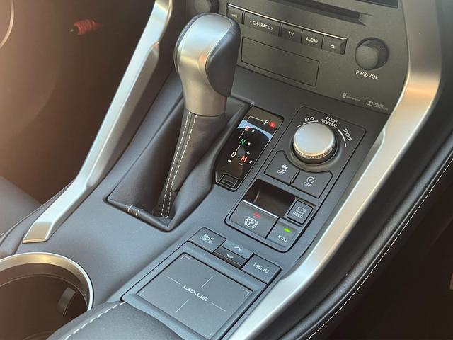 NX NX200t アーバンスタイル サイドカメラ バックモニター 電動シート オートクルーズコントロール アイドリングストップ ETC メモリーナビ(35枚目)