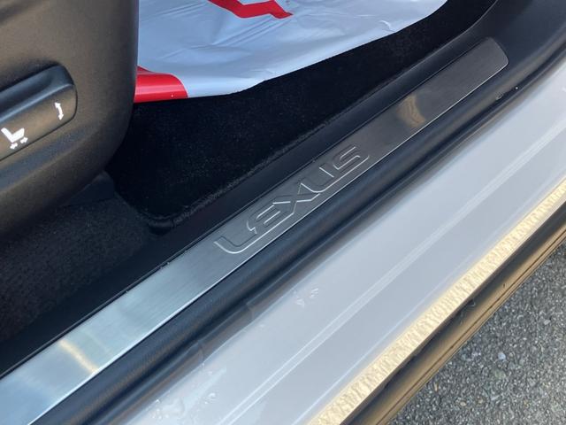 NX NX200t アーバンスタイル サイドカメラ バックモニター 電動シート オートクルーズコントロール アイドリングストップ ETC メモリーナビ(42枚目)