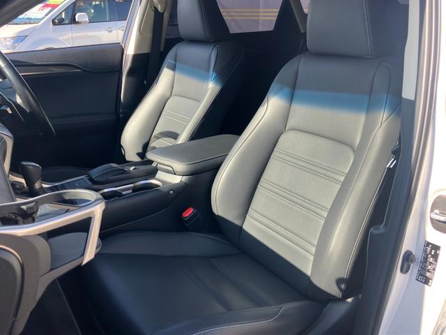 NX NX200t アーバンスタイル サイドカメラ バックモニター 電動シート オートクルーズコントロール アイドリングストップ ETC メモリーナビ(48枚目)