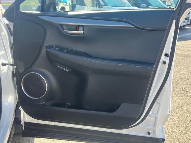 NX NX200t アーバンスタイル サイドカメラ バックモニター 電動シート オートクルーズコントロール アイドリングストップ ETC メモリーナビ(50枚目)