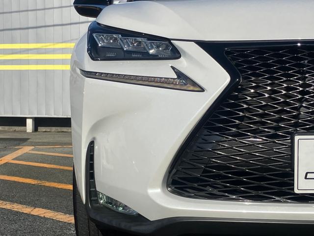 NX NX200t アーバンスタイル サイドカメラ バックモニター 電動シート オートクルーズコントロール アイドリングストップ ETC メモリーナビ(60枚目)