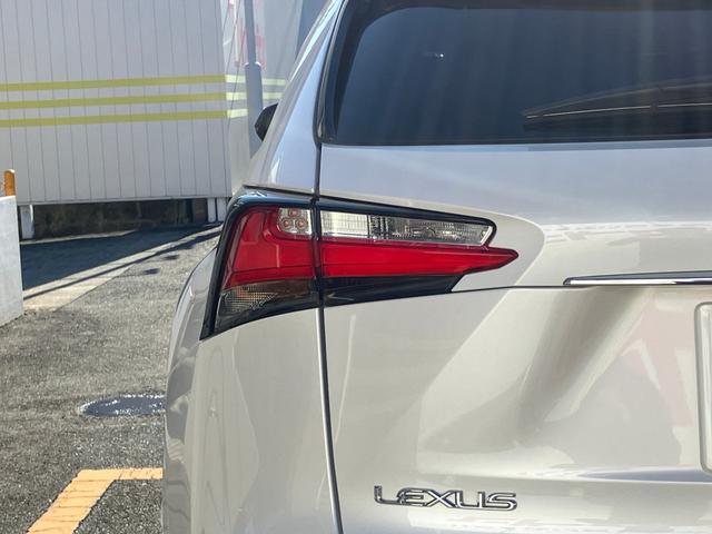 NX NX200t アーバンスタイル サイドカメラ バックモニター 電動シート オートクルーズコントロール アイドリングストップ ETC メモリーナビ(63枚目)