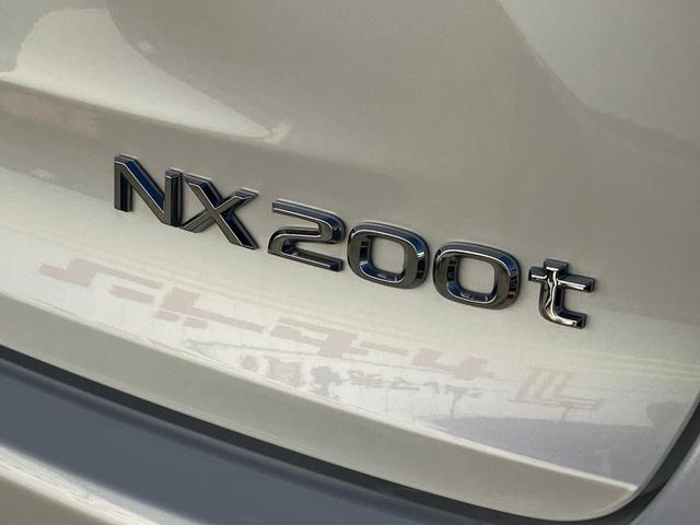 NX NX200t アーバンスタイル サイドカメラ バックモニター 電動シート オートクルーズコントロール アイドリングストップ ETC メモリーナビ(66枚目)