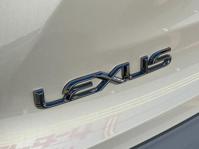 NX NX200t アーバンスタイル サイドカメラ バックモニター 電動シート オートクルーズコントロール アイドリングストップ ETC メモリーナビ(67枚目)