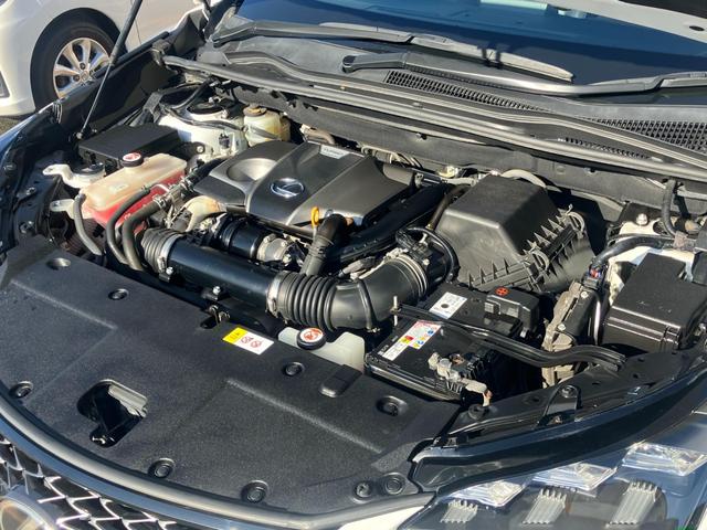 NX NX200t アーバンスタイル サイドカメラ バックモニター 電動シート オートクルーズコントロール アイドリングストップ ETC メモリーナビ(75枚目)