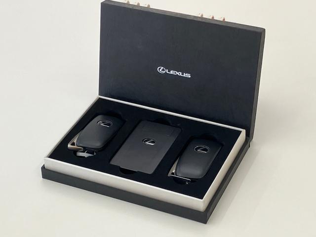 NX NX200t アーバンスタイル サイドカメラ バックモニター 電動シート オートクルーズコントロール アイドリングストップ ETC メモリーナビ(77枚目)