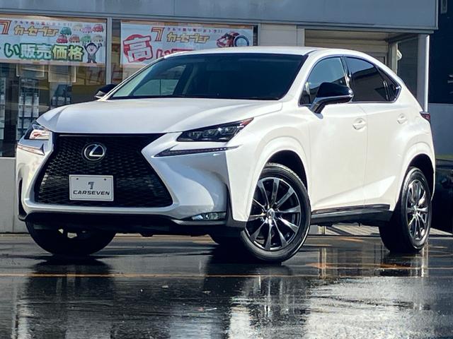 NX NX200t アーバンスタイル サイドカメラ バックモニター 電動シート オートクルーズコントロール アイドリングストップ ETC メモリーナビ(78枚目)