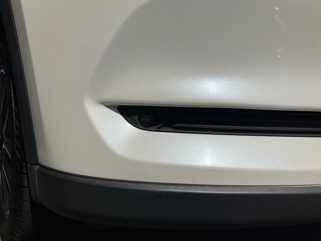 ＣＸ－５ ＸＤ　マツダコネクト　ナビ　リアカメラ　Ｂｌｕｅｔｏｏｔｈ　オートクルーズ　ＤＶＤ　リアコーナーセンサー　ＬＥＤヘッドライト　オートライト　アドバンスキー（64枚目）