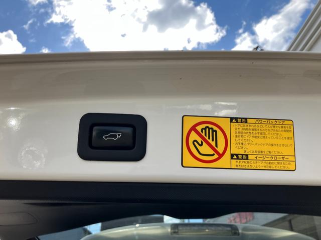 エスティマ アエラス　純正ナビ　バックカメラ　後席モニター　両側電動スライドドア　プッシュスタート　クルコン　メモリナビ　ＤＶＤ再生可能　デュアルエアバック　衝突安全ボディ　Ｗエアコン（47枚目）