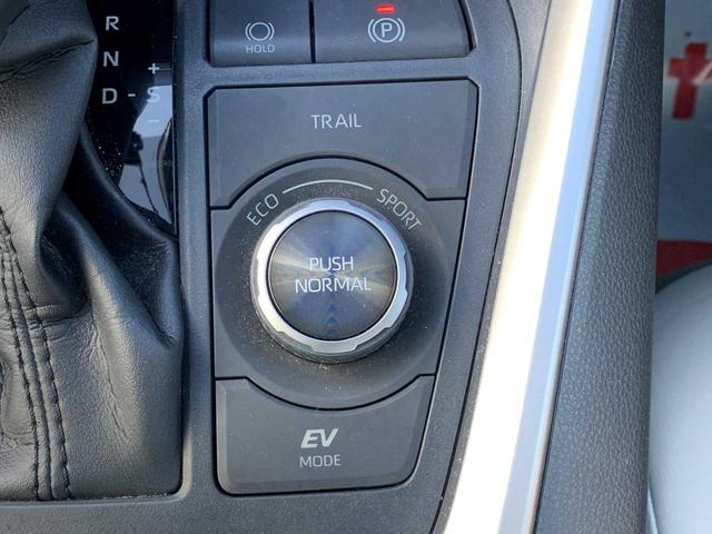 ＲＡＶ４ ハイブリッドＧ　禁煙車　フルセグナビ　Ｂｌｕｅｔｏｏｔｈ　全方位カメラ　衝突被害軽減ブレーキ　障害物センサー　アクセル踏み間違い防止装置　シートヒーター　シートエアコン　電動シート（44枚目）