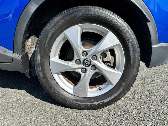 �Ԃ̔��蔃���ƕی��̂��ƂȂ�J�[�Z�u���V�암�ɂ��܂������������I�I�I�����k�̓t���[�_�C�����F�O�P�Q�O�|�U�O�V�|�V�V�O�܂ł�낵�����肢�������܂��B