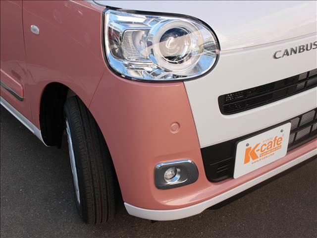 ムーヴキャンバス ストライプス　Ｇ（49枚目）