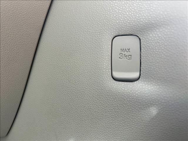 キャスト スタイル　Ｇ“ＶＳ　ＳＡＩＩＩ”（24枚目）