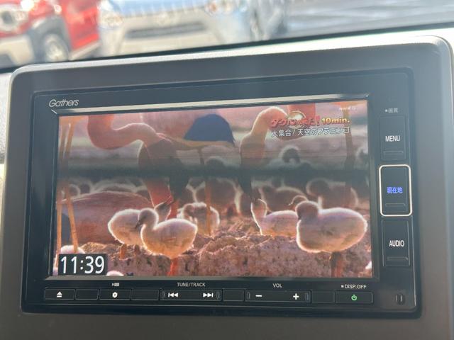 軽×カフェのコラボレーション！各種ソフトドリンクや挽きたてコーヒー、マンスリースイーツなどカフェだけのご利用としての魅力も十分です。ノンカフェインドリンクもご用意しております！