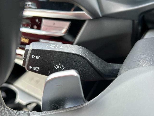 X3 M40d パノラマガラスサンルーフ 赤レザーシート アクティブクルーズコントロール 360°カメラ 純正ナビ オートマチックテールゲート パワーシート フルセグTV(26枚目)