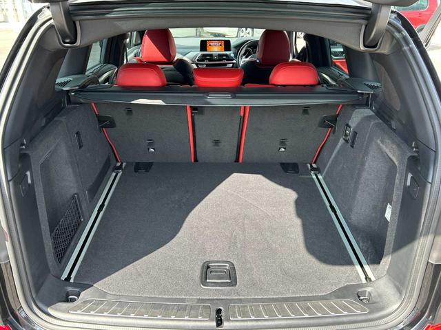 X3 M40d パノラマガラスサンルーフ 赤レザーシート アクティブクルーズコントロール 360°カメラ 純正ナビ オートマチックテールゲート パワーシート フルセグTV(45枚目)