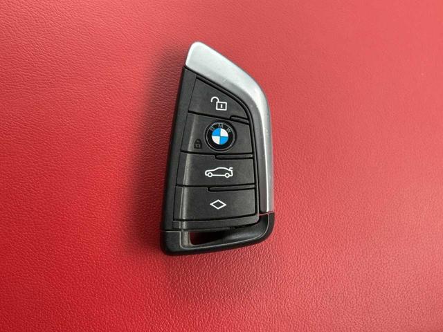 X3 M40d パノラマガラスサンルーフ 赤レザーシート アクティブクルーズコントロール 360°カメラ 純正ナビ オートマチックテールゲート パワーシート フルセグTV(48枚目)