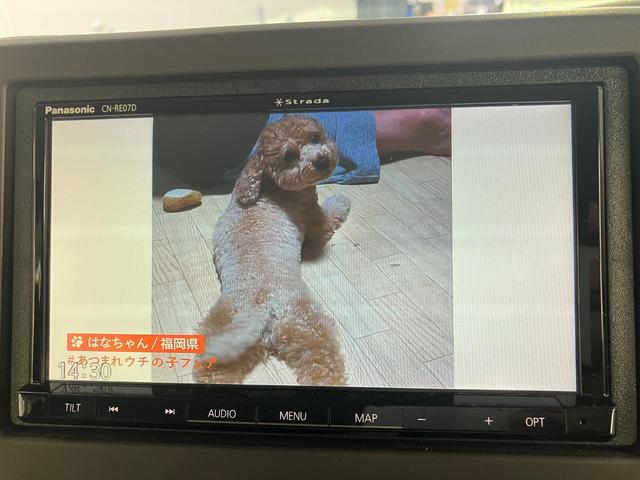 N-BOX G・Lホンダセンシング 社外ナビ、バックカメラ、BLUETOOTH、オートエアコン、プッシュスタート、左パワースライドドア、ETC、オートライト、(17枚目)