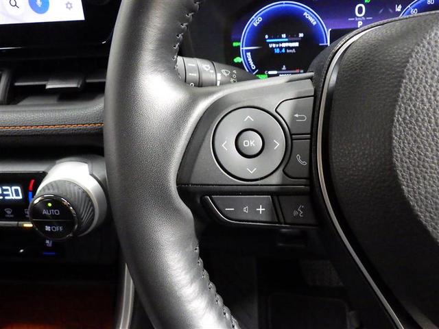ＲＡＶ４ ハイブリッドアドベンチャー　４ＷＤ　フルセグ　メモリーナビ　ミュージックプレイヤー接続可　バックカメラ　衝突被害軽減システム　ＥＴＣ　ドラレコ　ＬＥＤヘッドランプ　ワンオーナー　盗難防止装置　アルミホイール　電動シート　フル装備（18枚目）