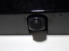 ������ �ϥ��֥�åɣڡ����꡼�ʥӡ��ߥ塼���å��ץ쥤�䡼��³�ġ��Хå�����顡�����ﳲ�ڸ������ƥ� 0804118A20251122T004 4