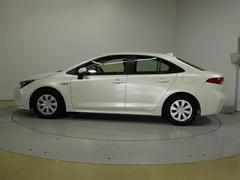 �������� �ϥ��֥�åɡ��ǡݣء����꡼�ʥӡ��ߥ塼���å��ץ쥤�䡼��³�ġ��Хå������ 0804118A20251228T001 2