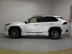 �ң��֣� �ϥ��֥�åɣǡ�����롼�ա����ףġ��ե륻�������꡼�ʥ� 0804118A20260118T001 2