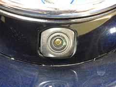 �������饹�ݡ��� �ϥ��֥�åɣǡ��ڡ��ե륻�������꡼�ʥӡ��ģ֣ĺ��� 0804118A20260125T001 4