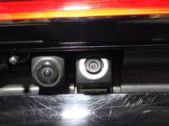 �ץꥦ�� �ڡ�����롼�ա��ե륻�������꡼�ʥӡ��ߥ塼���å��ץ쥤�䡼��³�� 0804118A20260208T002 4