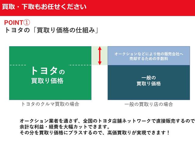 Ｌ　ＳＡＩＩＩ　メモリーナビ　ＤＶＤ再生　バックカメラ　衝突被害軽減システム　ＥＴＣ　記録簿　アイドリングストップ　ＣＤ　フル装備　エアバッグ　横滑り防止機能(47枚目)