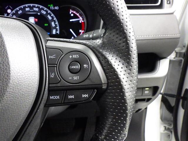 ＲＡＶ４ Ｘ　フルセグ　メモリーナビ　ＤＶＤ再生　バックカメラ　衝突被害軽減システム　ＬＥＤヘッドランプ　ワンオーナー　盗難防止装置　アルミホイール　ＣＤ　スマートキー　オートクルーズコントロール　フル装備（19枚目）