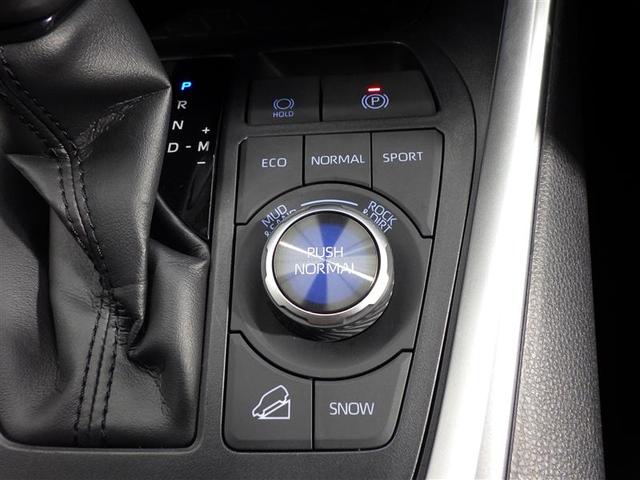ＲＡＶ４ Ｇ　Ｚパッケージ　４ＷＤ　フルセグ　メモリーナビ　ＤＶＤ再生　バックカメラ　衝突被害軽減システム　ＬＥＤヘッドランプ　ワンオーナー　盗難防止装置　アルミホイール　ＣＤ　電動シート　スマートキー　展示・試乗車　フル装備（16枚目）