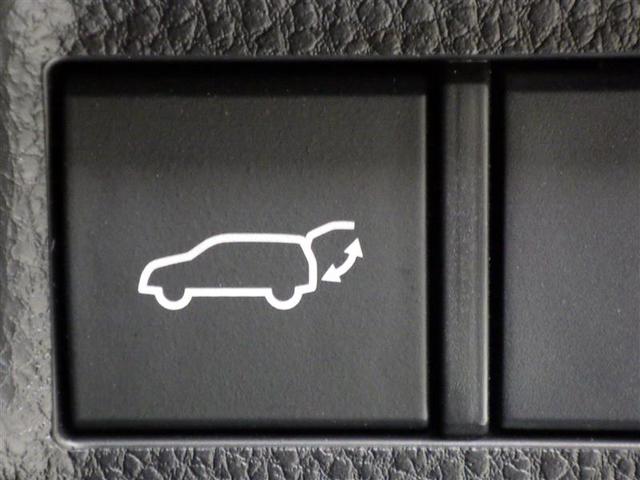 ＲＡＶ４ Ｇ　Ｚパッケージ　サンルーフ　４ＷＤ　メモリーナビ　ミュージックプレイヤー接続可　バックカメラ　衝突被害軽減システム　ＥＴＣ　ドラレコ　ＬＥＤヘッドランプ　ワンオーナー　盗難防止装置　アルミホイール　電動シート（23枚目）