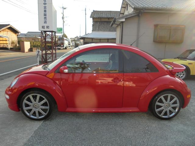 サルサ(8枚目)