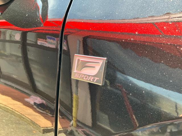 ＲＸ ＲＸ３５０　Ｆスポーツ　デジタルインナーミラー　パノラマルーフ　前後ドライブレコーダー　オレンジブレーキキャリパ　アドバンストパーク　白レザーシート　パノラミックビューモニター　ブラインドスポットモニター（13枚目）