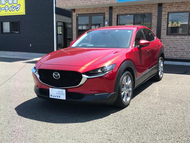 ＣＸ－３０ ２０Ｓ　プロアクティブ　ツーリングセレクション　ドライブレコーダー　ＥＴＣ　クリアランスソナー　オートクルーズコントロール　パワーシート　衝突被害軽減システム　オートマチックハイビーム　オートライト　ＬＥＤヘッドランプ　アルミホイール　スマートキー（50枚目）
