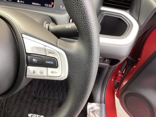 フィット ホーム　純正ナビ　ＬＥＤヘッドライト　衝突軽減　リアカメラ　ソナー　ＵＳＢ接続　ＡＡＣ　横滑り防止機能　サイドエアバック　オートライト　ＬＥＤライト　クルーズコントロール　パワーウィンドウ　スマキー　ＡＢＳ（45枚目）