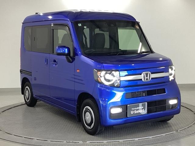 �����̂悤���Y��ɃN���[�j���O����Ă���A�ƂĂ��L���C�ȃ{�f�B�ł���B�O���͂������������Y��ł��B