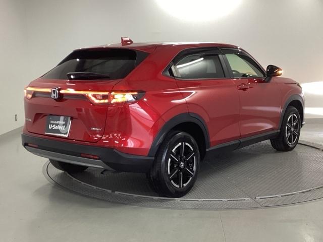 �����̂悤���Y��ɃN���[�j���O����Ă���A�ƂĂ��L���C�ȃ{�f�B�ł���B�O���͂������������Y��ł��B