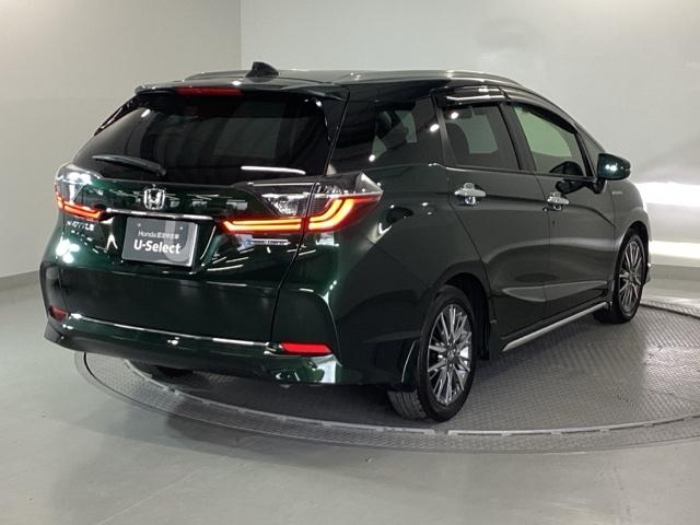 �{�f�B�J���[�́A�u���e�B�b�V���O���[���p�[���ŁA�͋����Əd���������A�[�݂̂���O���[���ł��I