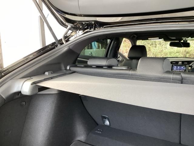 �׎��̃v���C�o�V�[�����J�[�S�G���A�J�o�[�t���B���E�ǂ��炩��ł������o���A����肪�\�ł��B�׎����L���g�������Ƃ������O���͕s�v�ł��B