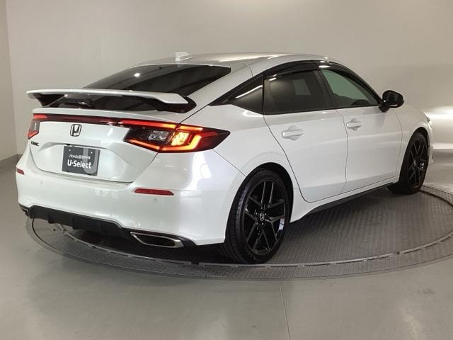 �����̂悤���Y��ɃN���[�j���O����Ă���A�ƂĂ��L���C�ȃ{�f�B�ł���B�O���͂������������Y��ł��B